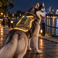 Harnais LED Qcool pour animaux de compagnie, éclairage périphérique LED visible la nuit, ajustement confortable, maille respirante, pour la promenade quotidienne, sécurité extérieure pour chiens de taille moyenne