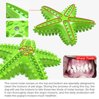 Jouet à mâcher en TPR en forme d'étoile pour chiens, nettoyage des dents, interactif, couineur, design mignon et amusant, couleur unie