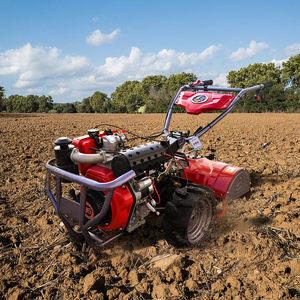 Motor de Alta Productividad para Agricultura, Motocultor Rotatorio, Motocultor con Engranajes, Mini Tractor - Product Image 2