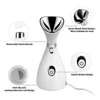 Vaporisateur facial électrique professionnel de haute qualité, nano-ionique, portable, pour usage domestique, lifting du visage