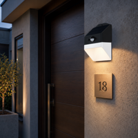 Vente en gros de lampes murales solaires 220lm pour tous les climats -20°C à +50°C résistantes au froid extrême et à la chaleur, ABS PC IP65 pour toutes les saisons