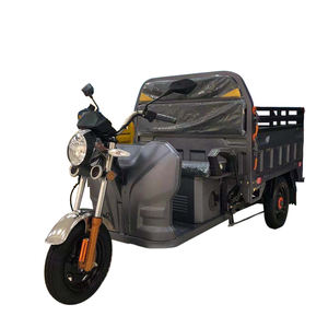 Vendita calda in Kenya EEC/COC Triciclo di carico elettrico a corpo aperto Tuk Tuk con tensione 60v - Product Image 1