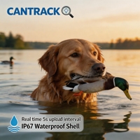 Collier de suivi pour chien en métal robuste et durable 4G AGPS, autonomie de la batterie <10 heures, compatible Android, localisateur GPS, laisse pour clôture de jardin