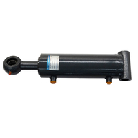 Cylindre hydraulique d'ascenseur de fret à course longue personnalisé cylindre d'inclinaison de chariot élévateur à piston à prix compétitif
