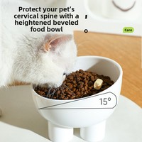 Gamelle surélevée pour animaux de compagnie à 4 pieds, design éléphant, 450 ml, en plastique, anti-déversement, protection du cou, pour la vente en gros transfrontalière