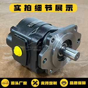 Moteur hydraulique de type engrenage Casappa Km40.133b0 34s8 Lof Of N Pompe rotative en fonte - Product Image 3