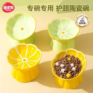 Bol en céramique surélevé pour chats avec design de protection du cou - Product Image 4