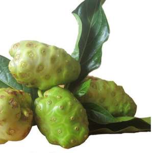 شرائح نوني طبيعية مجففة من فواكه نوني طبيعية مقطعة للبيع - Product Image 5