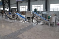 Ligne de traitement de la poudre d'ail et de la poudre de gingembre, machine de lavage et de broyage d'ail et de curcuma, prix