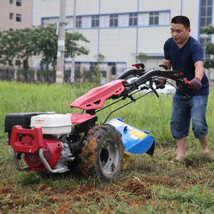 Tractor Agrícola Mini de Dos Ruedas con Tecnología <span class=keywords><strong>BCS</strong></span> Italiana, Maquinaria Agrícola con Accesorio Desbrozadora, Cortacésped, Aprobado por CE - Product Image 6