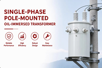 Transformateur de puissance TAISHUN D11 10kV d'entrée 25kVA monophasé à bobine toroïdale immergée dans l'huile, haute efficacité 0.98 50/60Hz