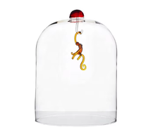 Cloche de troupe de cirque en verre résistant à la chaleur soufflé à la main gracieuse sur mesure pour la décoration de la maison