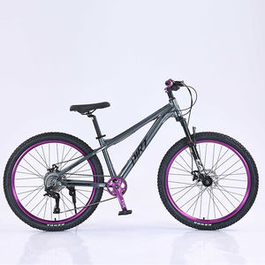 Offre Spéciale KAIMARTE TUPO <span class=keywords><strong>26</strong></span> pouces vtt VTT Double frein à disque 21 vitesses fourche en alliage d'acier Suspension avant toute montagne - Product Image 1