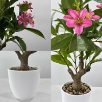 Plante artificielle de Plumeria rose en pot avec pot blanc en PE, fleur réaliste imperméable, plante artificielle pour la décoration de Noël à la maison