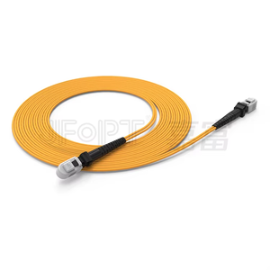 Mtrj sợi quang vá dây OM1/OM2 LSZH vỏ bọc tốc độ cao 2-core Viễn Thông Jumper tổn thất thấp cho trung tâm dữ liệu thông tin liên lạc - Product Image 2