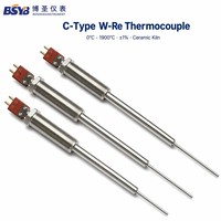 Sensor Suhu Termokopel Tungku Keramik Baja Tahan Karat Tipe C 0-1900C Suhu Tinggi OEM/ODM Dapat Disesuaikan untuk Pembakaran Tungku