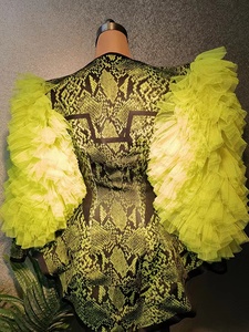 ชุดเต้นรำสไตล์เอ็กโซติก ฟอร์ด เฟียสต้า ลายงูสีเขียว แต่งระบาย แขนยาว สำหรับนักเต้นโชว์ ชุดคาร์นิวัล ชุดนักเต้นโกโก้ สำหรับผู้หญิง - Product Image 5
