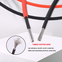 Meistverkaufte Verzinnte Kupfer-DC-Solarkabel XLPE 4mm 6mm Hochspannung IP65 Solarkabel für Industrielle Nutzung und Kraftwerke