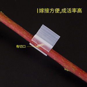 Clips de injerto para plántulas de tomate, melón y vegetales, de 2 mm a 5 mm, clips de unión duraderos para injertos en el jardín - Product Image 4