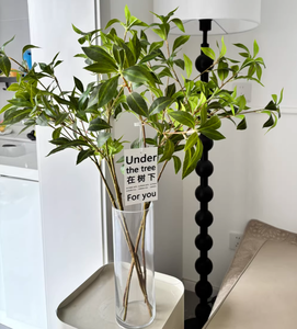 O-X978 Grande taille Feuillage artificiel en latex à toucher réaliste, Andromède japonaise (<span class=keywords><strong>Pieris</strong></span> <span class=keywords><strong>japonica</strong></span>), pour décoration intérieure - Product Image 4