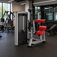 Machine de musculation pour l'extension dorsale, équipement de salle de sport commercial pour l'entraînement des muscles du dos