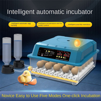Nouvel incubateur d'œufs automatique miniature pour usage domestique, design transparent, taux d'éclosion élevé, double alimentation, pour l'éducation des enfants, petite échelle