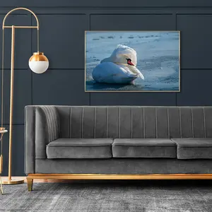 Original White Swan Photographs Canvas Print with PS Outer Frame Wall Art Wholesale Custom Art Printing