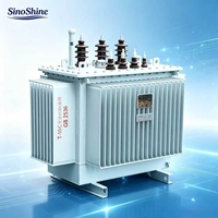 SinoShine Güç Trafosu Elektrik Ekipmanları Trafoları 200-5000kVA Trifaze 11kV/0.4kV Yağlı Tip
