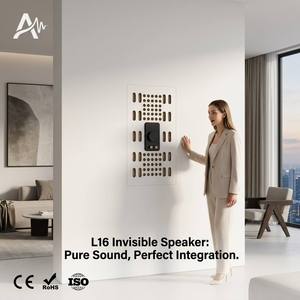 Altavoz Invisible para Techo Tianlai L16, 20W, Altavoz Profesional para Cine <span class=keywords><strong>en</strong></span> Casa de Alta Gama - Product Image 1