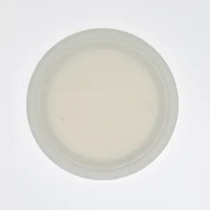 6/7/9/12 pouces canne à sucre bagasse pâte plaque biodégradable jetable rond blanc plaque