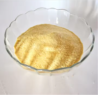 Gélatine en feuille Gélatine de peau de poisson Éponge de gélatine hémostatique absorbable-Additifs alimentaires