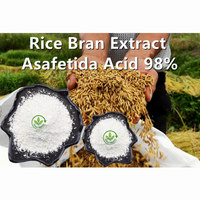 Poudre d'acide férulique Poudre d'acide Asafoetida 98% Extrait de son de riz de qualité alimentaire