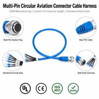 Câble de raccordement personnalisé avec connecteur aviation circulaire multipin femelle, faisceau de câbles en PVC, extrémités de fils numérotées avec gaine de protection, indice de protection IP67, pour robot PLC