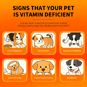 24 В 1 Мультивитаминные жевательные добавки OEM/OM для лечения зрения собак, кожной аллергии, пищеварения и ожирения - Product Image 4