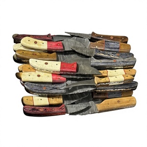 Cuchillo de Supervivencia y Caza de Acero de Damasco Forjado a Mano, Hoja Fija Mini Tipo Drop Point, Mango de Madera, Grado Industrial, Cuchillos para Revendedores OEM - Product Image 1