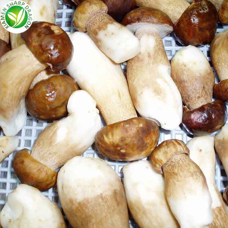 Preço do fornecedor iqf cogumelos congelados ou secos porcini e boletus edils