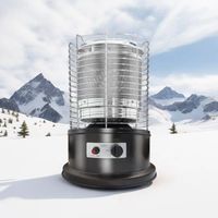 Lyroe Chauffage au gaz naturel Poêle à gaz liquéfié Chauffage domestique Équipement d'incendie pour la pêche en camping en plein air