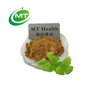 Campione gratuito estratto di Gingko biloba organico naturale puro al 100% 10:1 estratto di foglie di Ginkgo biloba foglie di Ginkgo essiccate in polvere sfuse