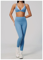 Individuelles Logo Großhandel Damen 2-teiliges Yoga-Set Farbblock Sport-BH Hochtaillierte Leggings Atmungsaktives Fitness-Set