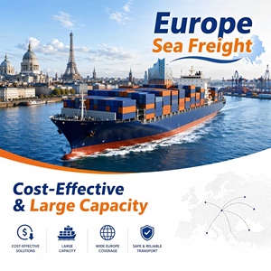 Dédouanement et taxes payées, livraison en 5 à 12 jours, transitaire aérien, dédouanement, livraison porte-à-porte, fret maritime vers l'Europe - Product Image 3