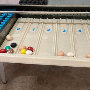 Chariot de tri des œufs en acier inoxydable professionnel, 4500 œufs par heure, traitement automatique des œufs - Product Image 3