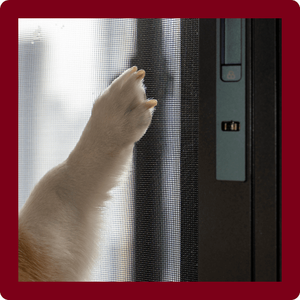 Pet Proof <b>Window</b> Screen <b>Mesh</b> Anti‑Cat Claw Vinyl Coated Polyester Pet Screen Roll Anti Mosquito For Home Door - Product Image 5