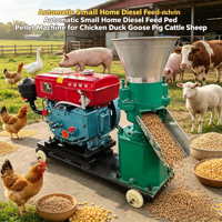 Machine à granulés d'aliments pour animaux portable à usage domestique, 220V monophasé, équipement de fabrication de granulés d'aliments pour poulets, porcs et poissons