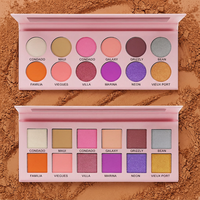 Palette de fards à paupières scintillants de style européen, 12 couleurs roses, logo personnalisé, ensemble de maquillage, palette de fards à paupières mats, marque privée