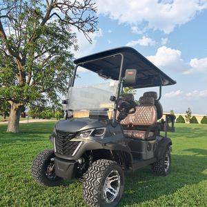Carrito de Golf Eléctrico 2026 de 60V, 3-4 Plazas, Ecológico, Energía Limpia, Peso en Vacío de 500kg+, Velocidad de 30-50 km/h, Autonomía de 90 km, <span class=keywords><strong>para</strong></span> Hotel o Villa - Product Image 1