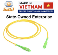 Kabel Patch Fiber Single Mode G652D LC UPC/APC Pigtail 0.9mm untuk Kabel Komunikasi FTTH/FTTB/FTTX/CATV 3m Jaringan Dalam Ruangan FTTH