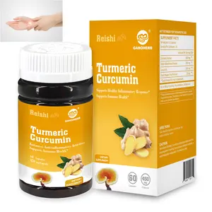 Groothandel Populaire Supplement Kurkuma Curcumine Capsules Premium Pijnverlichting & Gezamenlijke Ondersteuning Oem