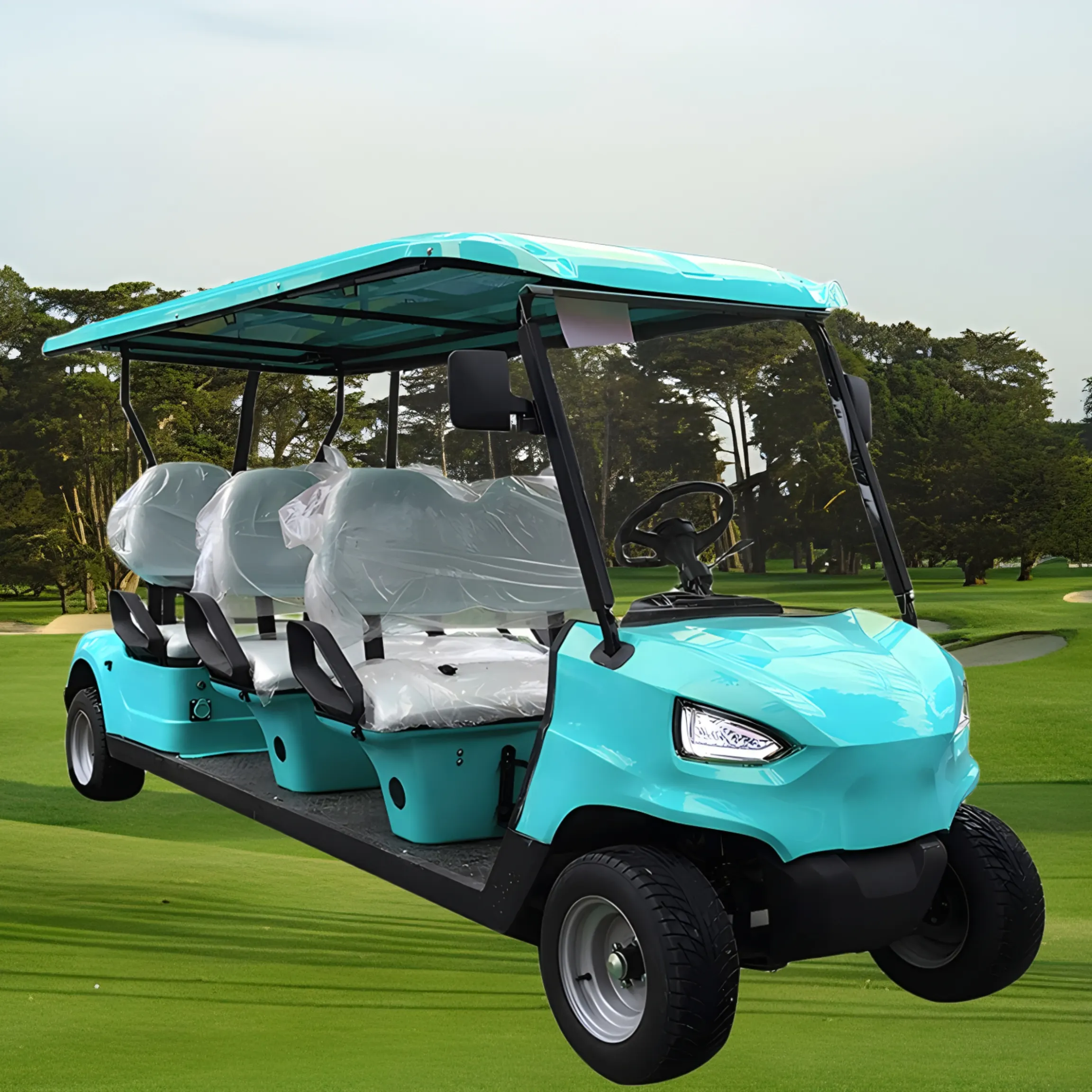 48V Battery Operated Legal Driving Golf Buggy Multifunctional Aluminum Frame Golf Cart