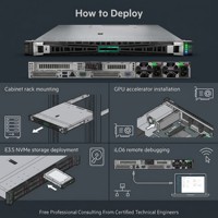 Nuevo Servidor en Rack HPE ProLiant DL325 Gen11 1U, AMD EPYC 9124 de un Solo Socket, 32GB DDR5 NVMe, Virtualización, Servidor en Rack para la Nube