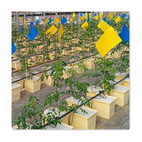 Système hydroponique en seau hollandais, sacs de plantation biodégradables en tourbe de coco pour pépinière de pommes de terre, arbres à fraises